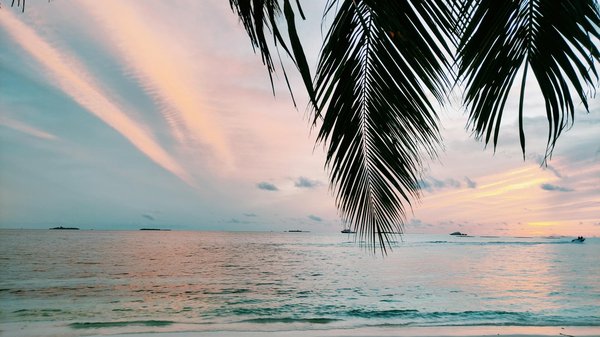 Les plus belles piscines d'hôtel à travers le monde